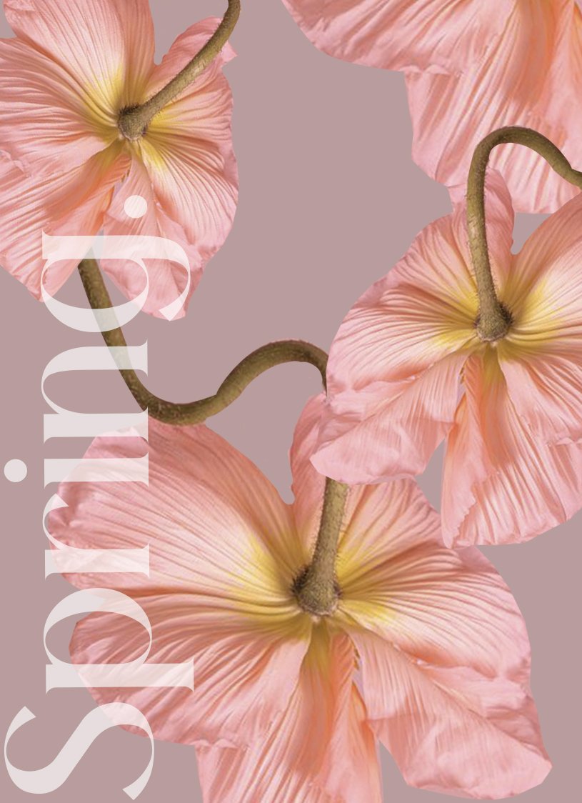 flower2